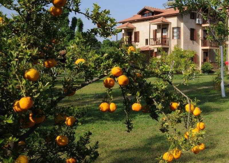 Yonca Lodge Fethiye Exterior photo